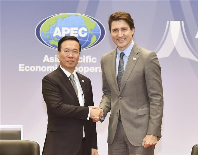 Presidente vietnamita se reúne con dirigentes de Canadá y Brunei ảnh 1 Presidente vietnamita se reúne con dirigentes de Canadá y Brunei ảnh 1