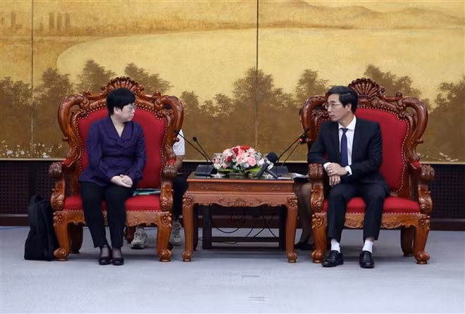 Da Nang y Guangdong fortalecen cooperación y conexión ảnh 1