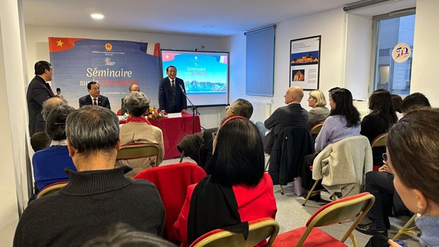 Divulgan potencialidades turísticas de Vietnam en Francia ảnh 1