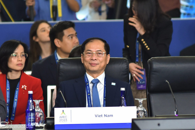 Reunión de Ministros de Economía y Relaciones Exteriores de APEC: Vietnam propuso tres prioridades de cooperación ảnh 2