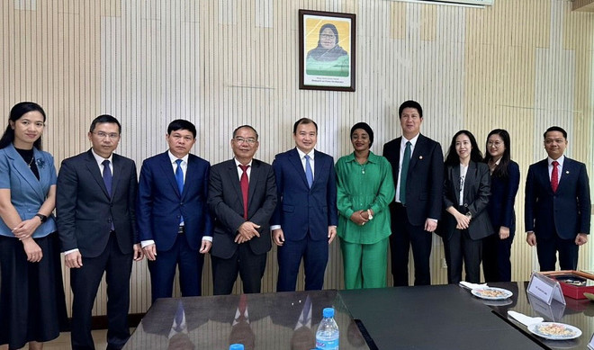 Vietnam busca agilizar lazos en información con Qatar, Egipto y Tanzania ảnh 3