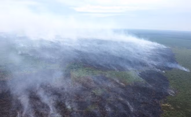 Incendio de turberas en Indonesia ảnh 1 Incendio de turberas en Indonesia ảnh 1