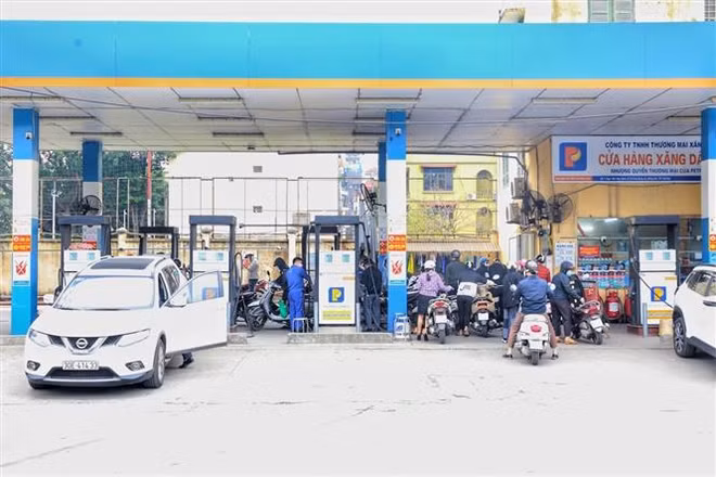 Ministerio de Finanzas propone recortar mitad del impuesto ambiental a gasolina ảnh 1