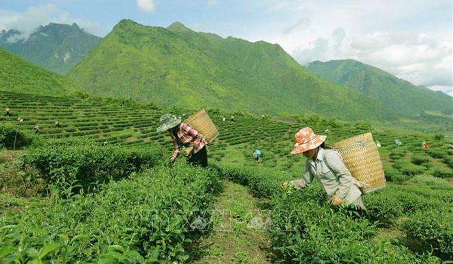 Debaten programa de reducción sostenible de pobreza en la etapa 2021-2025 en Vietnam ảnh 1 Debaten programa de reducción sostenible de pobreza en la etapa 2021-2025 en Vietnam ảnh 1