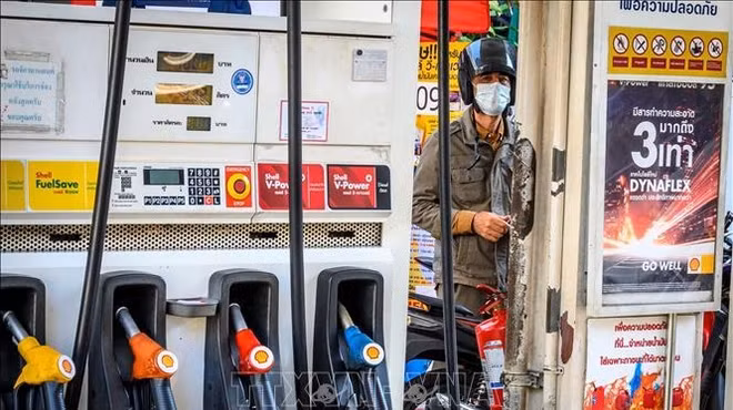 Tailandia aumentará la reserva de petróleo ảnh 1