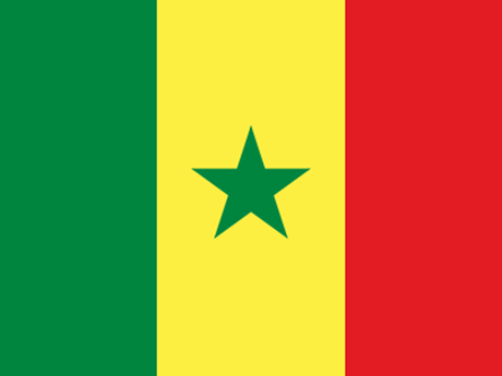 Vietnam felicita a Senegal por asumir presidencia de la Unión Africana ảnh 1 Vietnam felicita a Senegal por asumir presidencia de la Unión Africana ảnh 1
