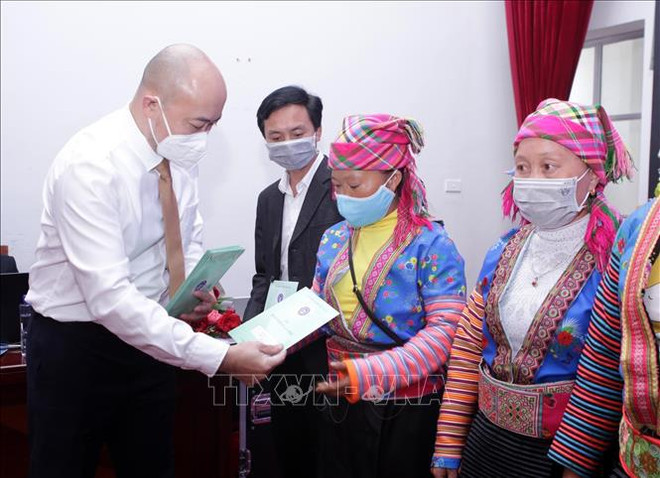 Vietnam y Estados Unidos agilizan cooperación en seguro médico ảnh 1 Vietnam y Estados Unidos agilizan cooperación en seguro médico ảnh 1