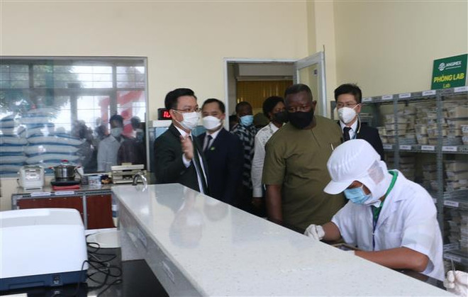 Empresa vietnamita firma contratos para exportar arroz a Sierra Leona ảnh 2 Empresa vietnamita firma contratos para exportar arroz a Sierra Leona ảnh 2