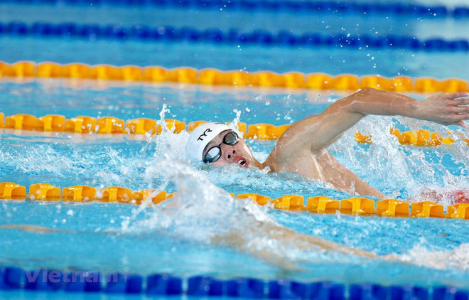 Vietnam tendrá 32 nadadores en los SEA Games 31 ảnh 2 Vietnam tendrá 32 nadadores en los SEA Games 31 ảnh 2