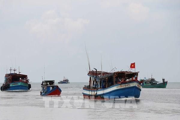 Provincia survietnamita trabaja por combatir pesca ilegal ảnh 1 Provincia survietnamita trabaja por combatir pesca ilegal ảnh 1