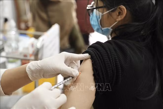 Casi 176 mil personas se recuperan del coronavirus en las últimas 24 horas en Vietnam ảnh 1