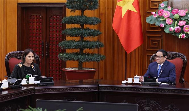 Profundizan nexos bilaterales entre Vietnam y Nueva Zelanda ảnh 1