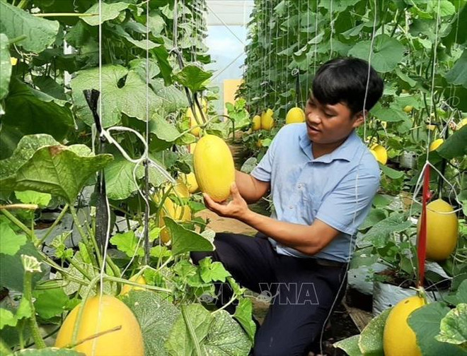 Provincia vietnamita de Ninh Thuan dedica fondo millonario a reducción de pobreza sostenible ảnh 2 Provincia vietnamita de Ninh Thuan dedica fondo millonario a reducción de pobreza sostenible ảnh 2
