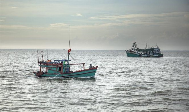 Vietnam gestiona barcos pesqueros por satélite en esfuerzos contra la pesca ilegal ảnh 1