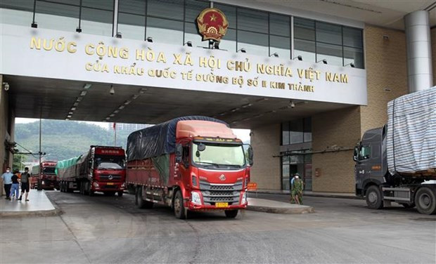 Actualizan a empresas vietnamitas trámite de exportación de almidón a China ảnh 1