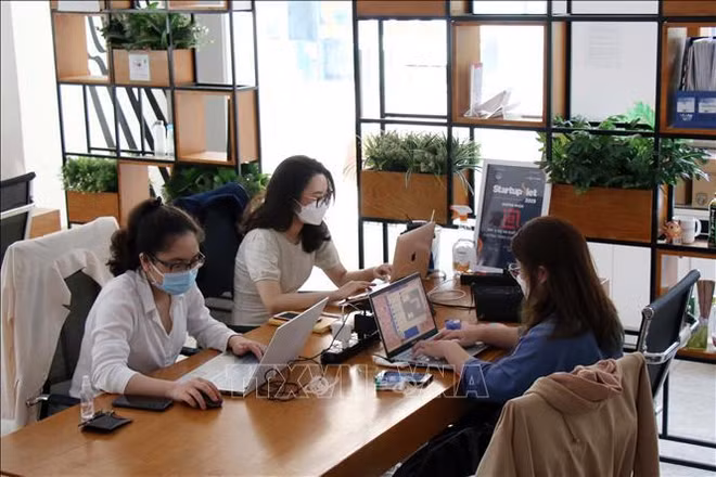 Programa Nacional de Innovación Tecnológica promueve el emprendimiento ảnh 2 Programa Nacional de Innovación Tecnológica promueve el emprendimiento ảnh 2