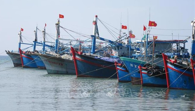 Comunidad pesquera vietnamita comprometida con combatir la pesca ilegal ảnh 1 Comunidad pesquera vietnamita comprometida con combatir la pesca ilegal ảnh 1