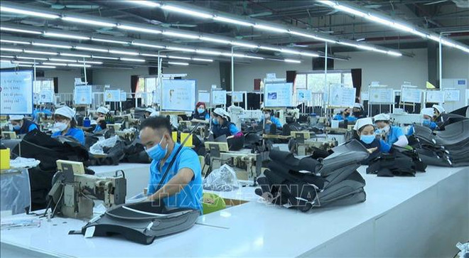 Empresas vietnamitas se centran en formación intensiva de recursos humanos ảnh 1 Empresas vietnamitas se centran en formación intensiva de recursos humanos ảnh 1
