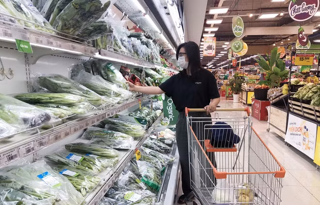 Vietnam recuperará pronto demanda de compras ảnh 2