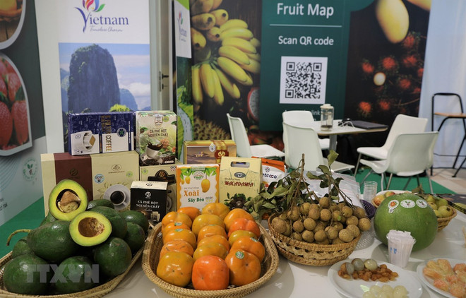 Participa Vietnam en Feria internacional de frutas y verduras en Italia ảnh 1 Participa Vietnam en Feria internacional de frutas y verduras en Italia ảnh 1