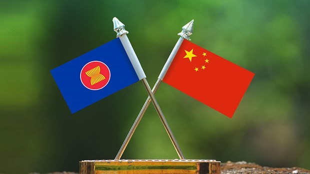 Campamento juvenil China-ASEAN promueve intercambio mediático bilateral ảnh 1 Campamento juvenil China-ASEAN promueve intercambio mediático bilateral ảnh 1