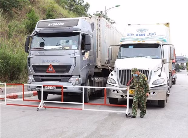 Vietnam se empeña en facilitar identificación de códigos aduaneros para mercancías ảnh 2