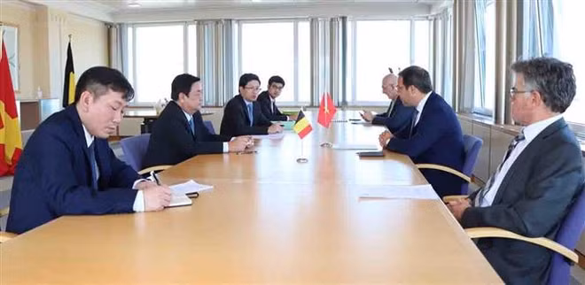 Vietnam y Bélgica impulsan intercambio comercial de productos agrícolas ảnh 1