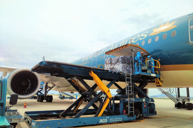 Llegan a Vietnam 180 mil kits de prueba de COVID-19 donados por Alemania ảnh 1 Llegan a Vietnam 180 mil kits de prueba de COVID-19 donados por Alemania ảnh 1