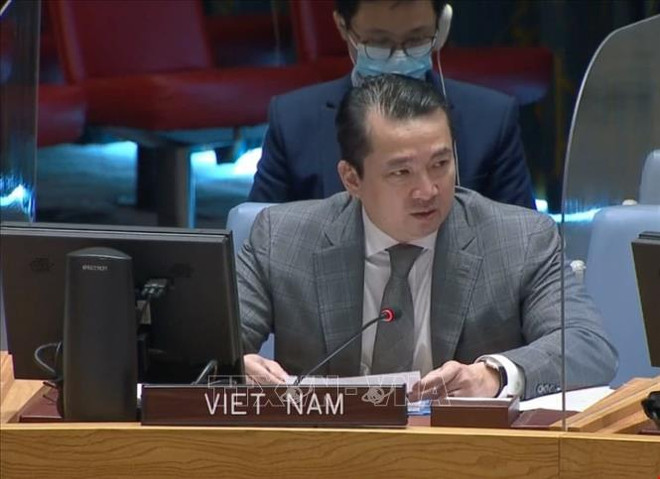 Vietnam condena el uso de armas químicas ante la ONU ảnh 1 Vietnam condena el uso de armas químicas ante la ONU ảnh 1