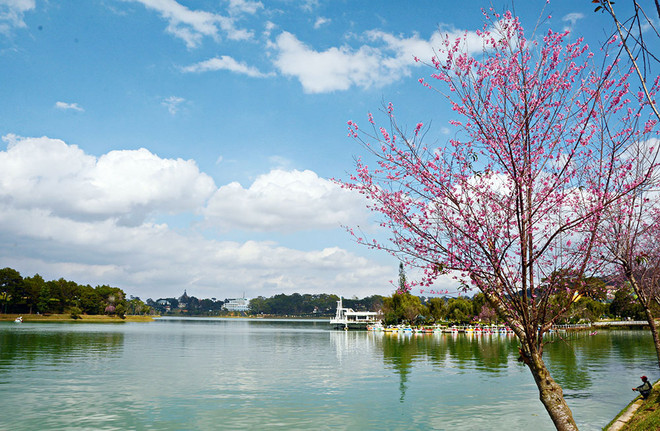 Da Lat fue admitida como miembro de la Organización para la Promoción del Turismo Asia-Pacífico ảnh 1 Da Lat fue admitida como miembro de la Organización para la Promoción del Turismo Asia-Pacífico ảnh 1