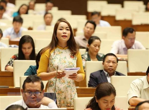 Aprueba Parlamento de Vietnam agenda de supervisión para 2020 ảnh 1