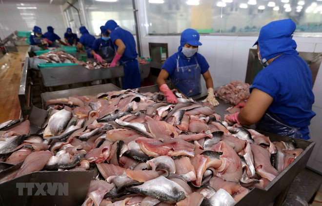 Diez productos agrícolas y acuícolas de Vietnam están presentes en 160 países y territorios ảnh 1 Diez productos agrícolas y acuícolas de Vietnam están presentes en 160 países y territorios ảnh 1