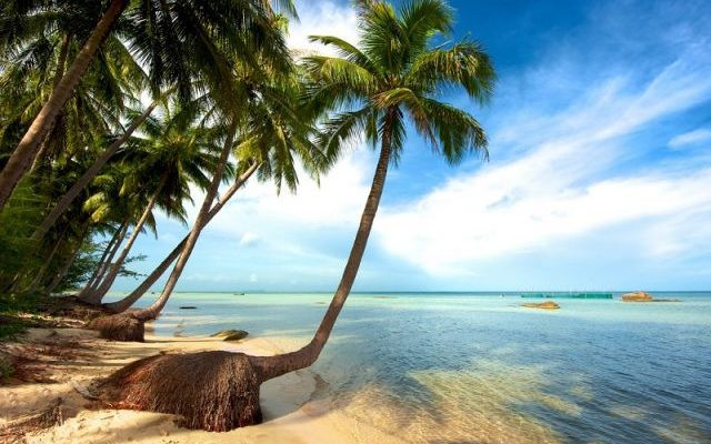 Capital e isla de Vietnam entre los 17 mejores lugares en Asia para visitar, según CNN ảnh 1