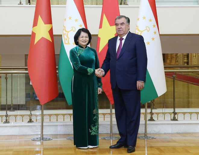 Sostiene vicepresidenta vietnamitas encuentros con dirigentes mundiales ảnh 1