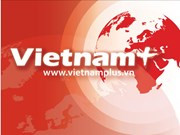 Dirigente de provincia rusa visita Vietnam para impulsar nexos económicos ảnh 1