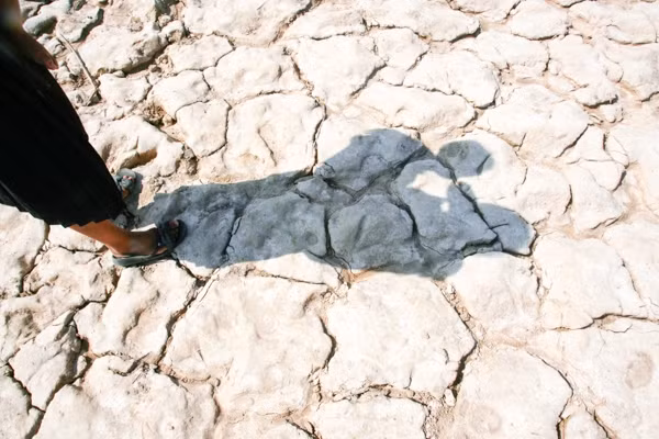 Mayoría de provincias de Camboya enfrenta sequía ảnh 1