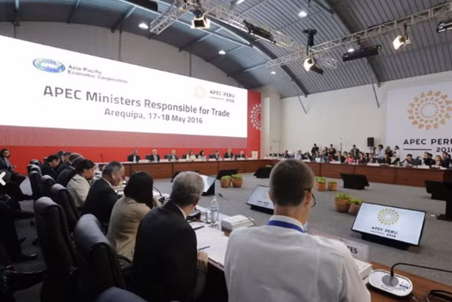 Ministros de comercio de APEC se reúnen en Perú ảnh 1