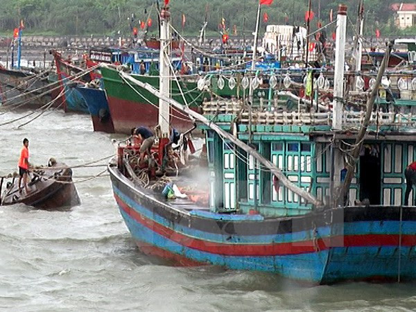 Vicepremier orienta labor de prevención contra tifón en Quang Ninh ảnh 1 Vicepremier orienta labor de prevención contra tifón en Quang Ninh ảnh 1