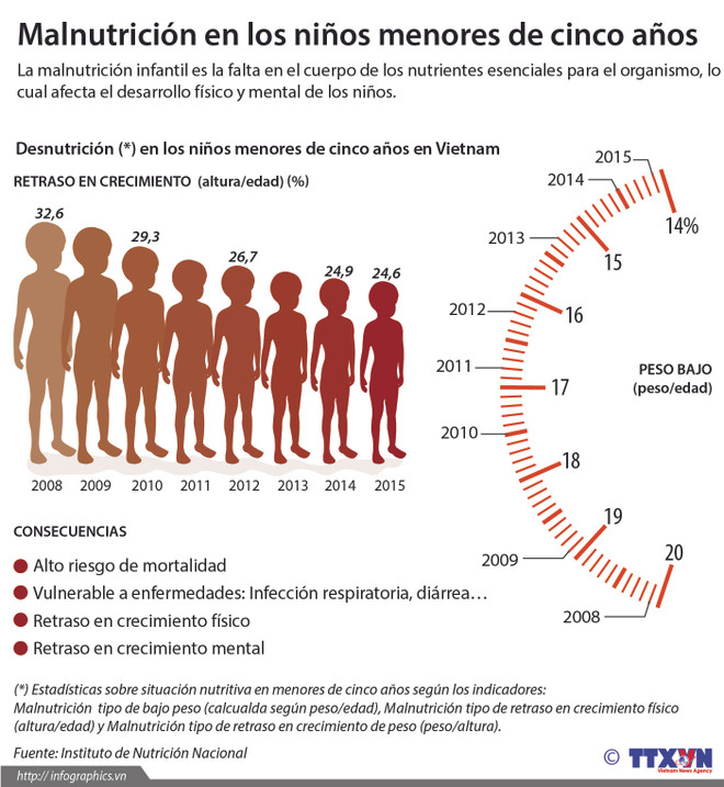 [Infografía] Malnutrición en los niños de menores de cinco años en Vietnam ảnh 1