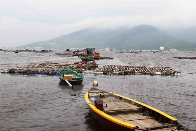 Abren líneas telefónicas directas a favor de pescadores en el Centro ảnh 1 Abren líneas telefónicas directas a favor de pescadores en el Centro ảnh 1