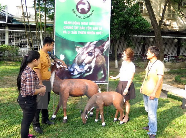 Unen manos para proteger Saola en Vietnam ảnh 1 Unen manos para proteger Saola en Vietnam ảnh 1