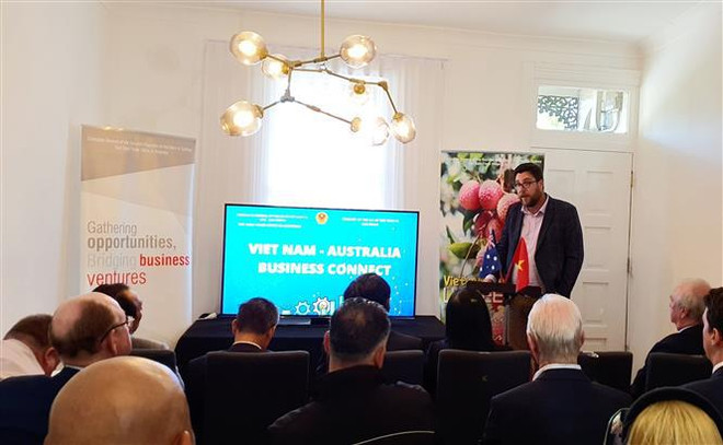 Promueven colocación de inversión de Australia en Vietnam ảnh 1 Promueven colocación de inversión de Australia en Vietnam ảnh 1