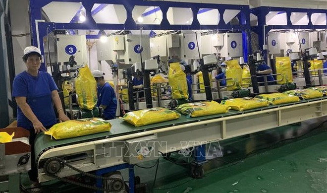 Vietnam busca aumentar ventas de arroz a mercados de ASEAN ảnh 1 Vietnam busca aumentar ventas de arroz a mercados de ASEAN ảnh 1