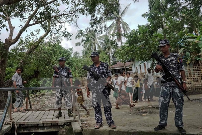 Fallecen 12 personas en asalto contra puestos policiales en Myanmar ảnh 1