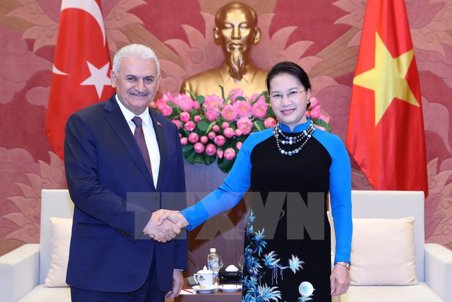 Vietnam atesora nexos con Turquía, afirma titular parlamentaria ảnh 1 Vietnam atesora nexos con Turquía, afirma titular parlamentaria ảnh 1