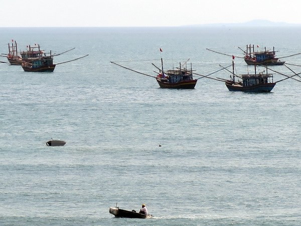 Banco vietnamita respalda a pescadores nacionales mediante préstamos preferenciales ảnh 1 Banco vietnamita respalda a pescadores nacionales mediante préstamos preferenciales ảnh 1