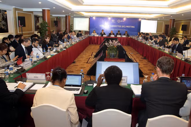 Inauguran segunda reunión del Comité Económico del APEC ảnh 1 Inauguran segunda reunión del Comité Económico del APEC ảnh 1