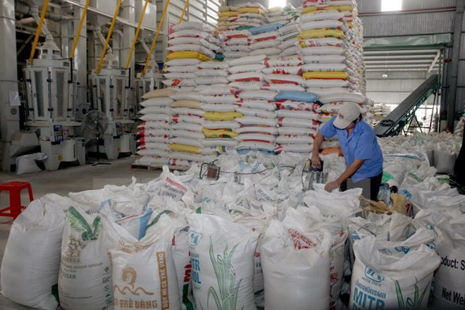 Filipinas importará 293 mil toneladas de arroz de Vietnam ảnh 1 Filipinas importará 293 mil toneladas de arroz de Vietnam ảnh 1