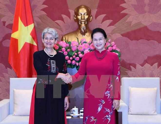 Presidenta parlamentaria vietnamita destaca cooperación con UNESCO ảnh 1 Presidenta parlamentaria vietnamita destaca cooperación con UNESCO ảnh 1