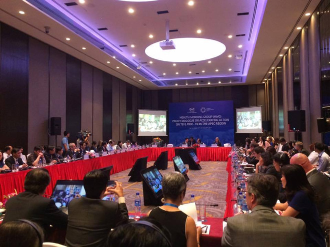 APEC 2017: Diálogo de Políticas de Salud para personas mayores hacia un Asia-Pacífico saludable ảnh 1 APEC 2017: Diálogo de Políticas de Salud para personas mayores hacia un Asia-Pacífico saludable ảnh 1
